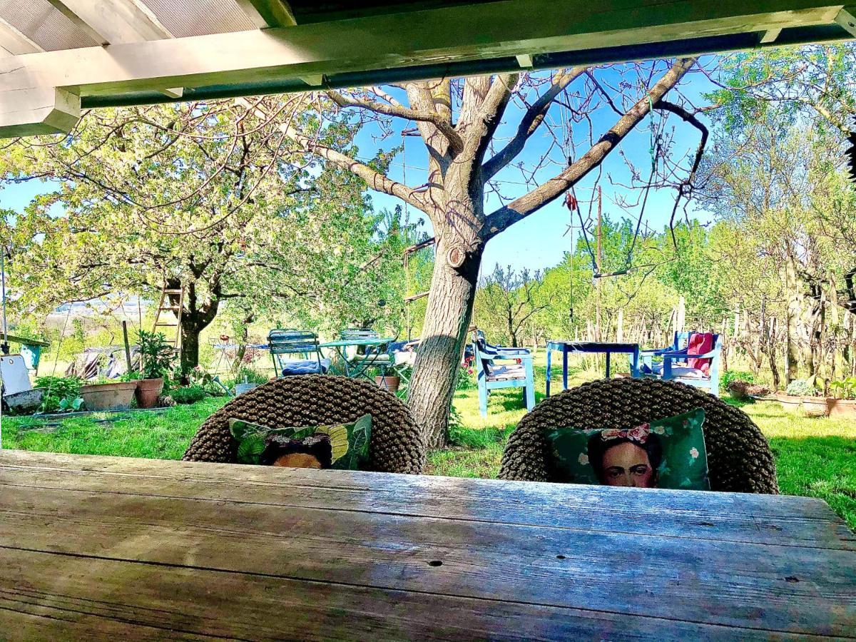 Bohemian Eco Lodge At Lake Balaton Kisapati Exterior foto